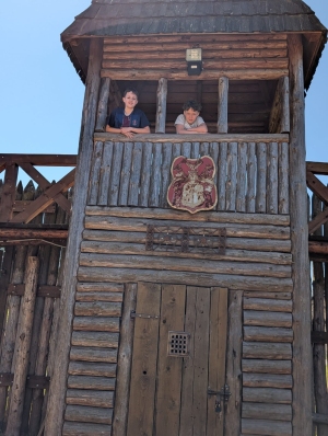 26